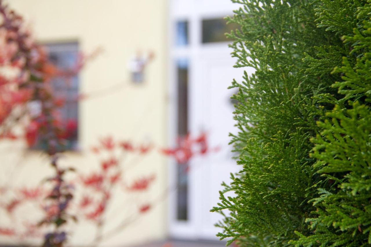 Ferienhaus Bogsi Müllrose Exteriér fotografie